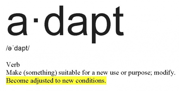 What Is A Word Meaning Adapt